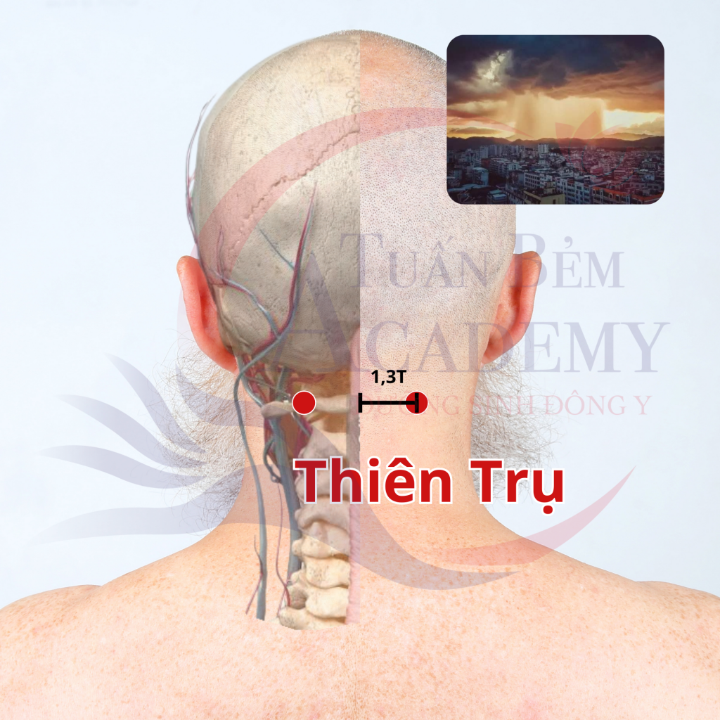 Huyệt Thiên Trụ
