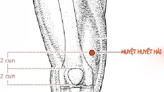 Huyệt Huyết Hải